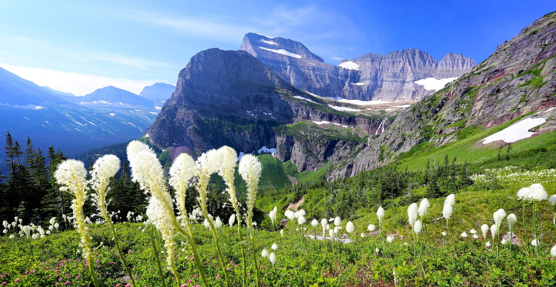  GLACIER NATIONAL- Habibi World Travel & Tour America